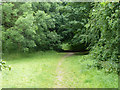 Path, Roundshaw Downs