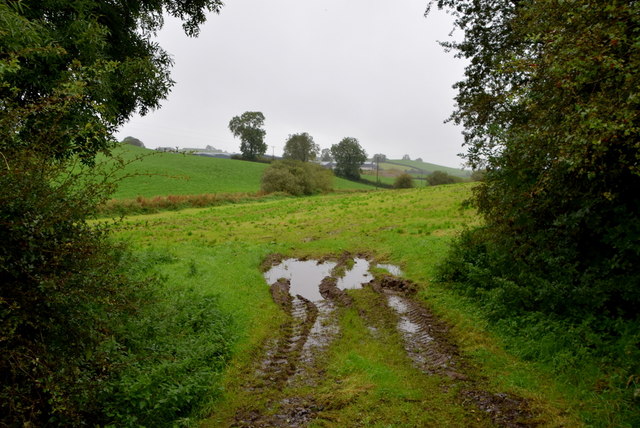 Wet field, Annaghilla