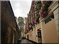 Crane Street at the side of the Trafalgar Tavern