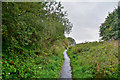 Brierley Hill : Footpath