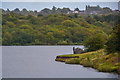 Brierley Hill : Fens Pool Local Nature Reserve - Middle Pool