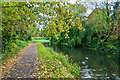 Brierley Hill : Fens Branch