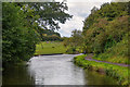 Wordsley : Stourbridge Canal