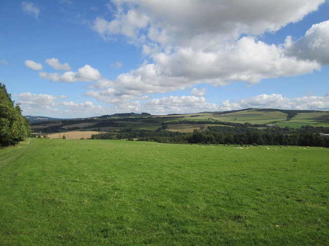 Scottish Borders, A pleasure to be ... © Martin Dawes :: Geograph ...