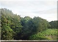 The Kilkeel River below the Newcastle Road bridge