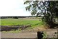 View south from Twizell Lane