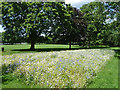 Wild flower bed, Mellows Park