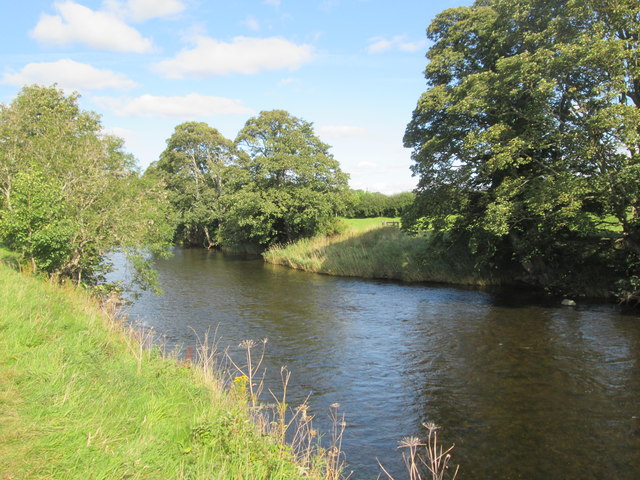 River Teviot on its way to the ... © Martin Dawes cc-by-sa/2.0 ...