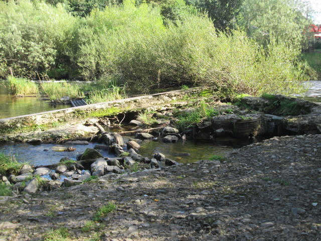 Remains  of  old  weir  on  River  Teviot