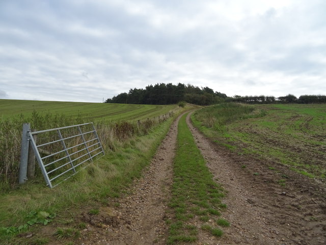 Track towards Atherstone Hill Farm