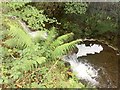 Waterfall and pool