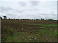 Field off National Cycle Route 5