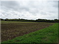 SP2439 : Newly planted crop near Middlehurst Farm by JThomas