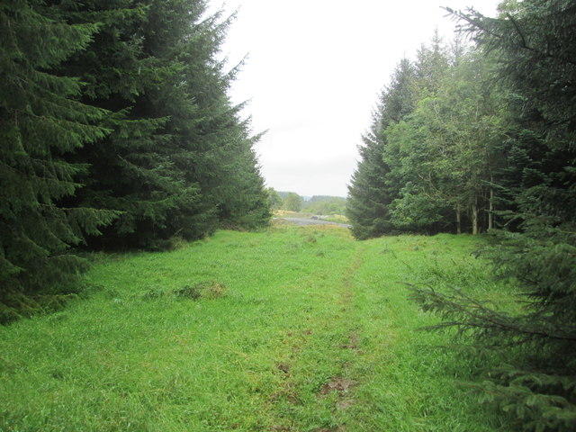 Ashkirk Loch, Scottish Borders - area information, map, walks and more