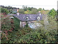 W3897 : Overgrown house near Banteer station by Gareth James