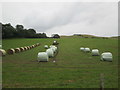 NT4621 : Wrapping  bales  of  hay  in  field  with  tractor  (2) by Martin Dawes