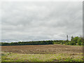 Bare field south of Micklefield