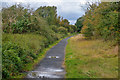 Wordsley : Buckpool Local Nature Reserve - Footpath