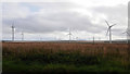 ND1452 : Grassland and Causeymire wind farm by John Lucas