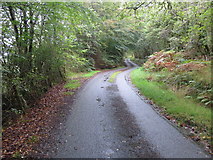 NM9442 : Tree-lined minor road near to Druim na Claoidh by Peter Wood