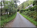 NN0046 : Road beside River Creran near to Glasdrum by Peter Wood