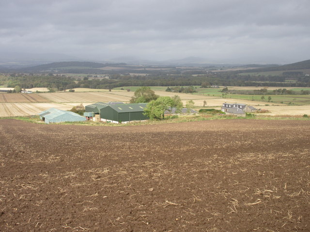 Carrot Farm © Scott Cormie :: Geograph Britain and Ireland