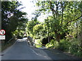 Ford & Bridge on Station Road