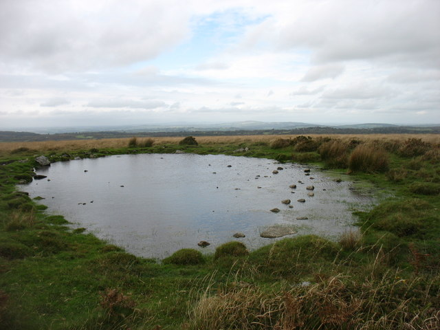 Pool on the summit of Wigford Down