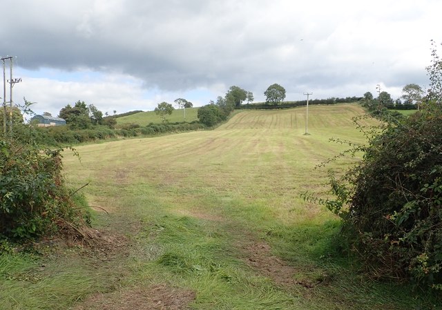 Harvested drumlin hay field on the Kiltybane Road