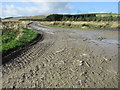 Bend in new track at Lurgiescleuch near Hobkirk