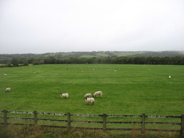 Farmland near Bridestowe