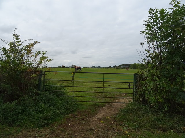 Field entrance near Lower Tadmarton