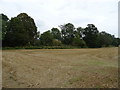 Stubble field and woodland near Lower Tadmarton