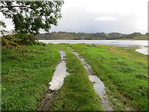 NM9634 : Grass track to the shore of Loch Etive at Rubha Charsalich by Peter Wood