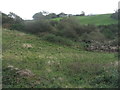 Scrub in the valley of the Carnock Burn