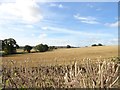 Looking across the fields to Twizell Hall