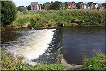 NY4154 : Weir on River Petteril by Roger Templeman