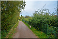 Silverdale : Footpath