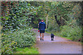 Silverdale : Footpath