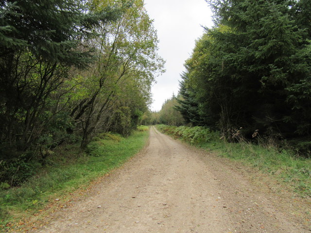 Track At Rigg Noddle © T Eyre Cc By Sa20 Geograph Britain And Ireland 1138