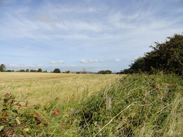View across the fields near Acton Dene