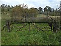 Gate beside the road