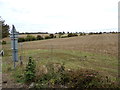 TL7818 : Farmland near White Notley Railway Station by Geographer