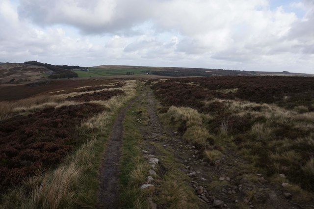 Sheffield Country Walk towards the A57 © Ian S cc-by-sa/2.0 :: Geograph ...