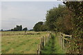 Footpath to Fostergate Lane