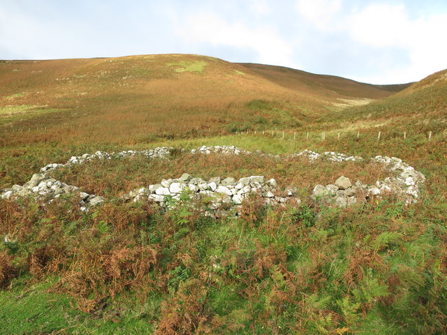 Derelict sheep stell (sheepfold), Wide Open