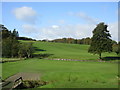 Kirkcaldy Golf Course, 1st Hole, Brae