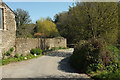 Lane at Lower Coombe