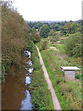 SJ9553 : Caldon Canal (Main Line) near Hazelhurst Locks, Staffordshire by Roger  D Kidd