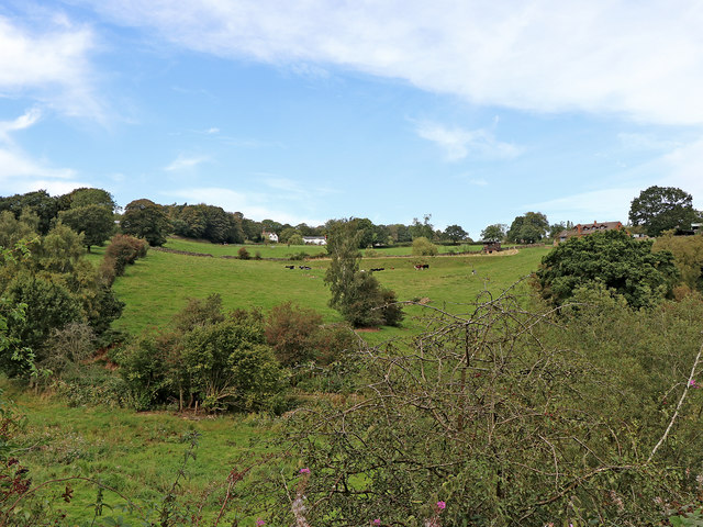 Staffordshire pasture west of Denford © Roger Kidd cc-by-sa/2.0 ...